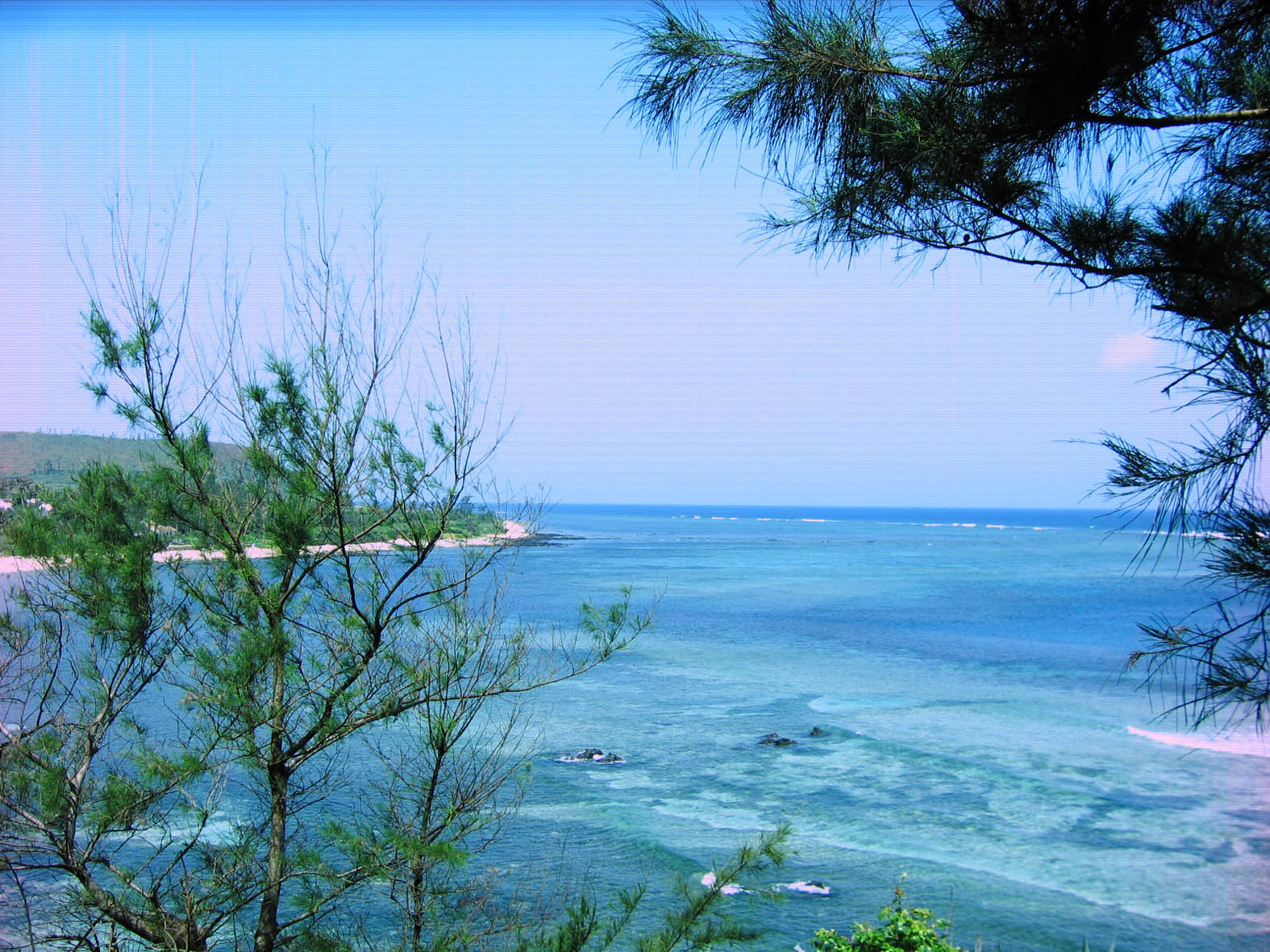 កោះLy Son-ឋានសួត៍ទេសចរណ៍នាពេលអនាគត